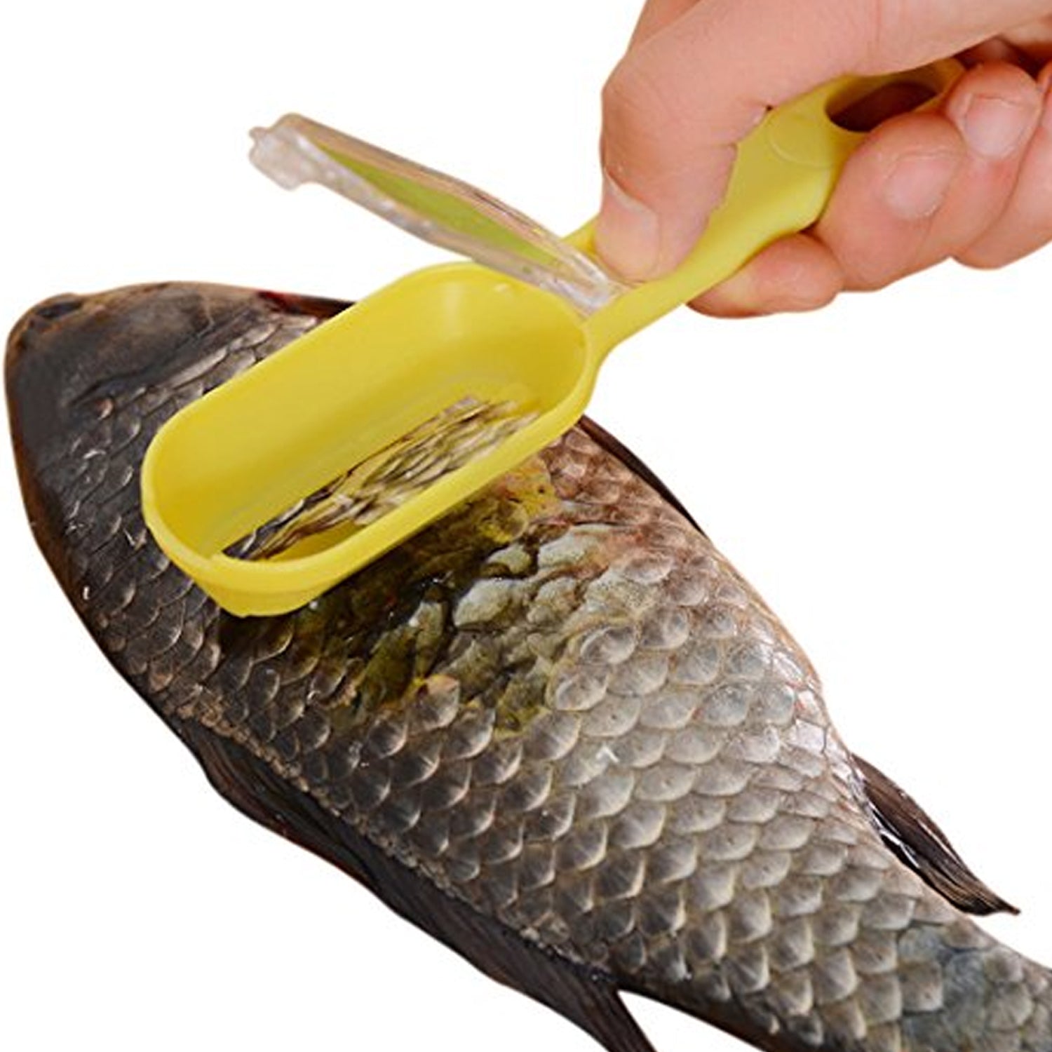 0112 Plastic Fish Scales Graters Scraper, Fish Skin Brush Fish Cleaning Tool Scraping Scales Device with Cover Home Kitchen Cooking Tools 1 Pieces 0112 Plastic Fish Scales Graters Scraper, Fish Skin Brush Fish Cleaning Tool Scraping Scales Device with Cover Home Kitchen Cooking Tools 1 Pieces
